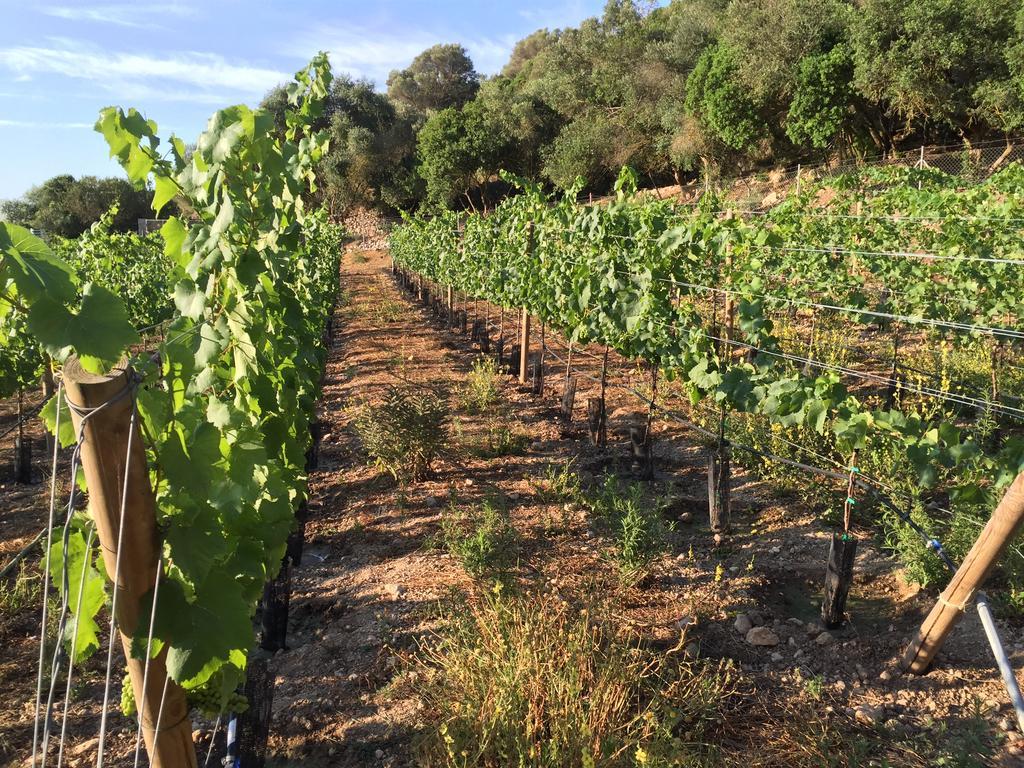 Ca Na Ciara Manacor (Mallorca)
