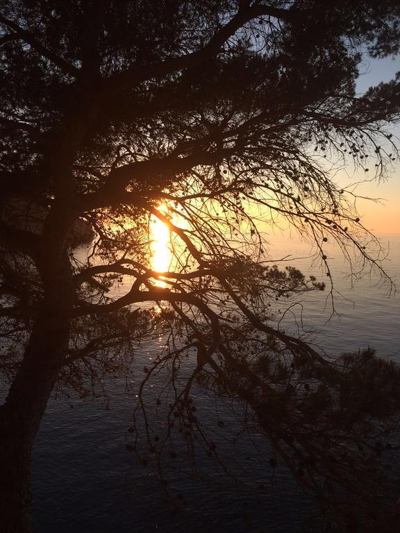 Hébergement de vacances Ca Na Ciara Manacor (Mallorca)